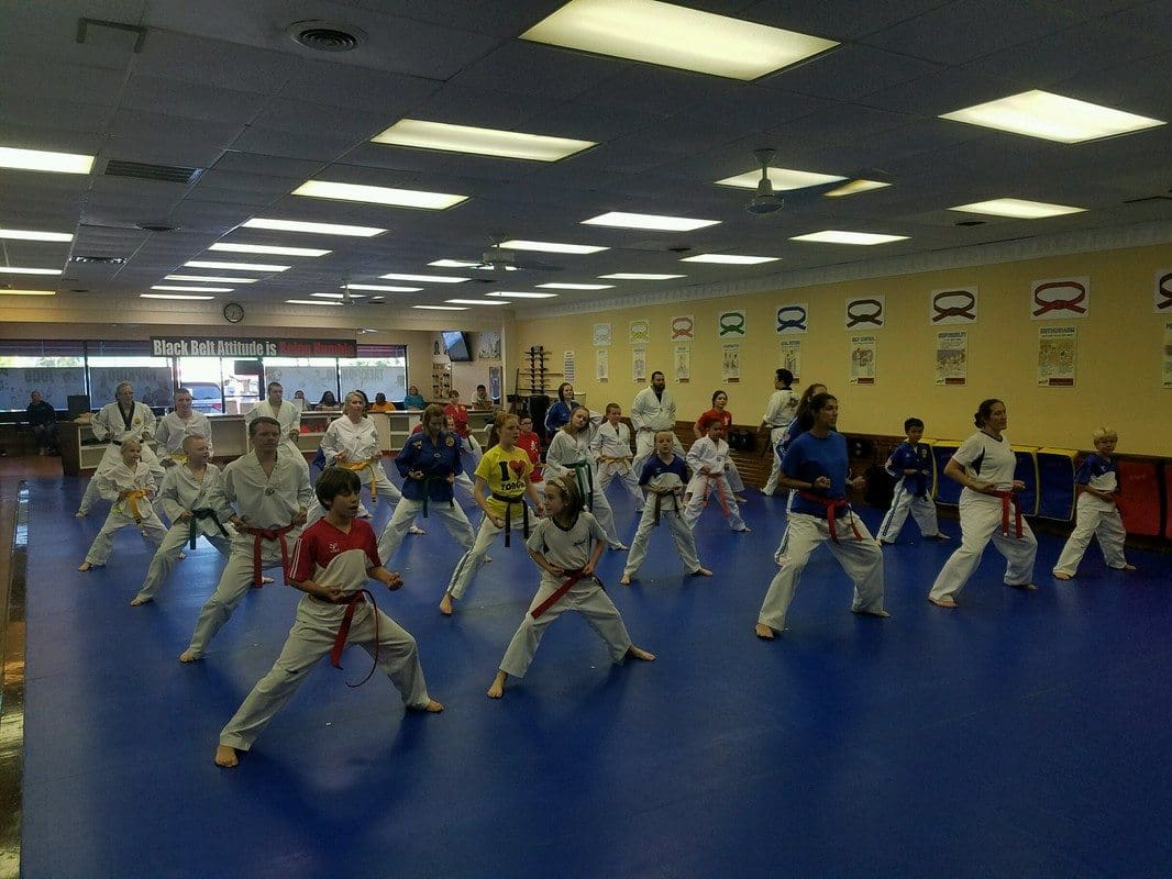 Tae Kwon Do Franklin Yong In Martial Arts Training